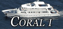 Coral I button
